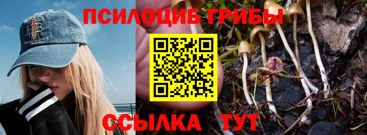 Галлюциногенные грибы GOLDEN TEACHER Магнитогорск